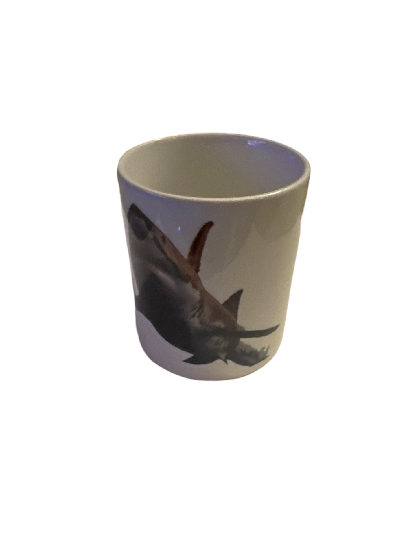 THE SHARK MUG-INSTA REQUEST