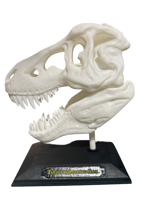 T-REX PLA 3d PRINTED